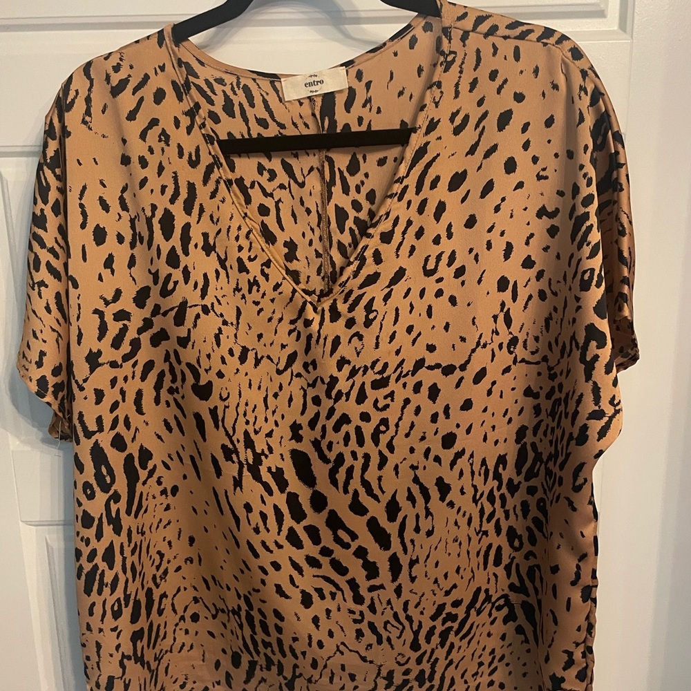 Entro Tan Relaxed Satin Blouse
